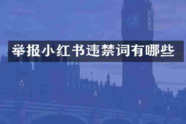 举报小红书违禁词有哪些
