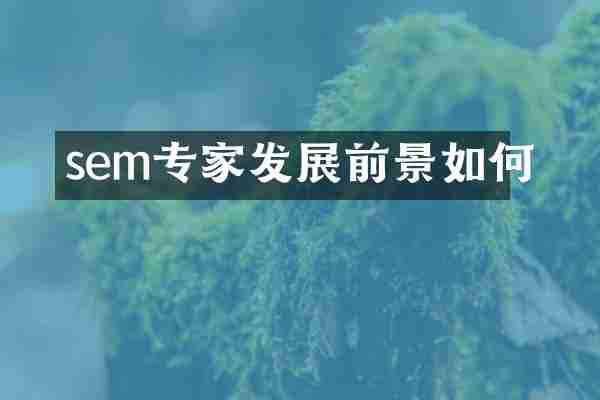 sem专家发展前景如何