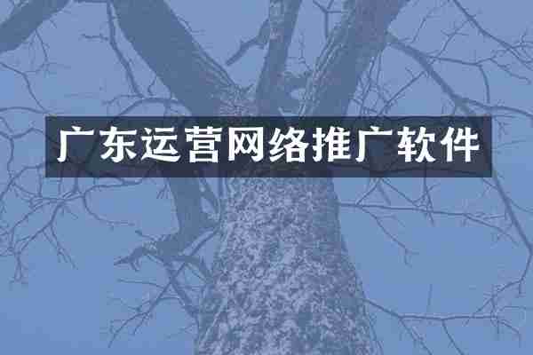 广东运营网络推广软件