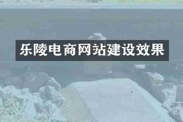 乐陵电商网站建设效果