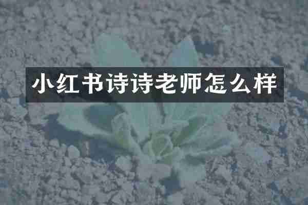 小红书诗诗老师怎么样