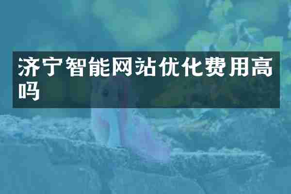 济宁智能网站优化费用高吗
