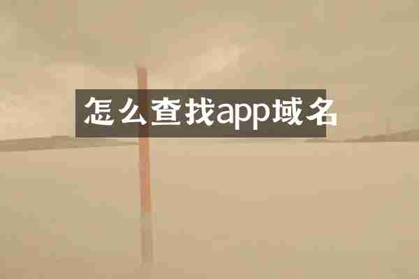 怎么查找app域名