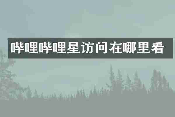 哔哩哔哩星访问在哪里看