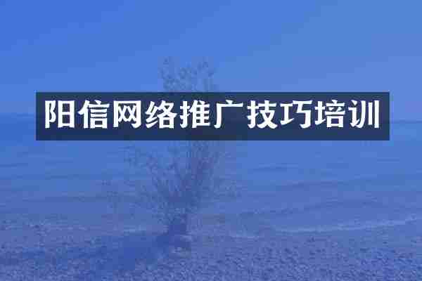 阳信网络推广技巧培训
