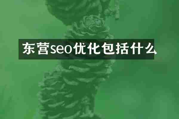东营seo优化包括什么