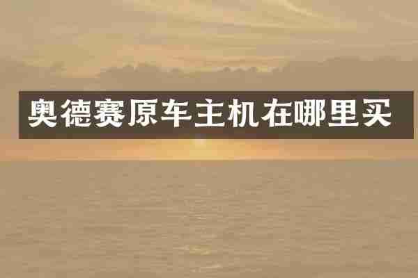 奥德赛原车主机在哪里买