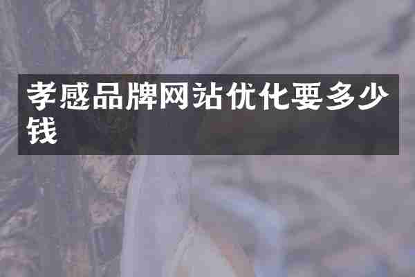 孝感品牌网站优化要多少钱