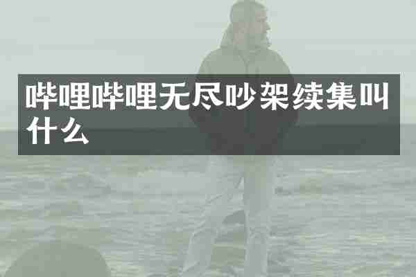 哔哩哔哩无尽吵架续集叫什么