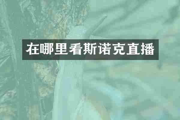 在哪里看斯诺克直播