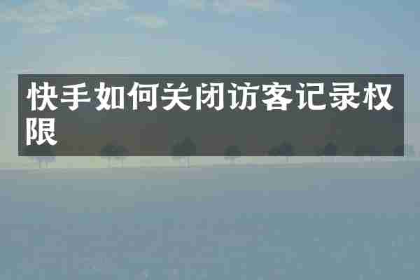 快手如何关闭访客记录权限