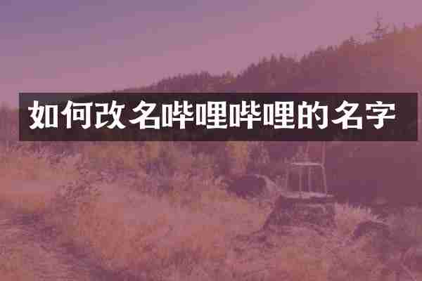 如何改名哔哩哔哩的名字