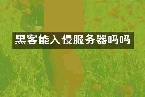 黑客能入侵服务器吗吗