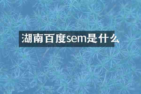 湖南百度sem是什么