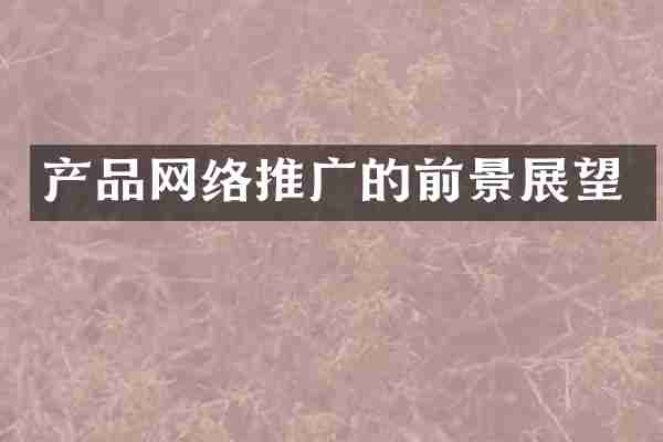 产品网络推广的前景展望
