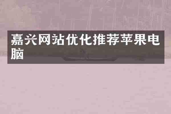 嘉兴网站优化推荐苹果电脑