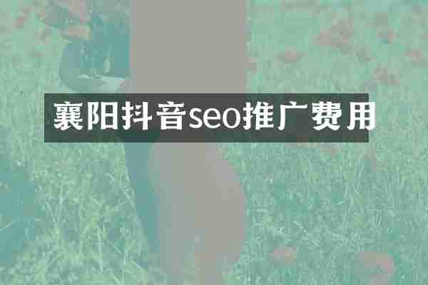 襄阳抖音seo推广费用