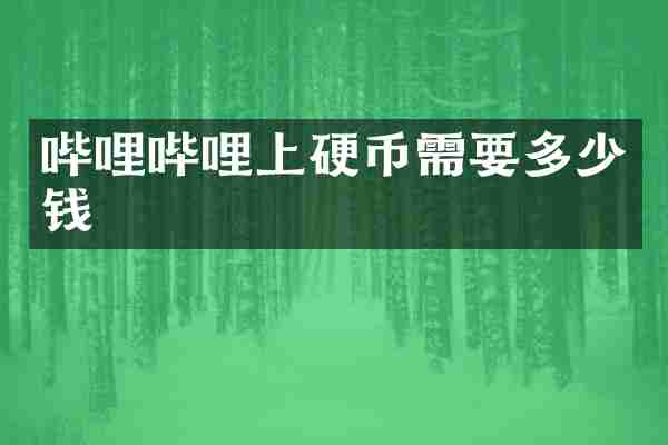 哔哩哔哩上硬币需要多少钱