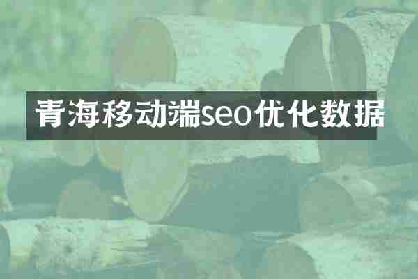 青海移动端seo优化数据