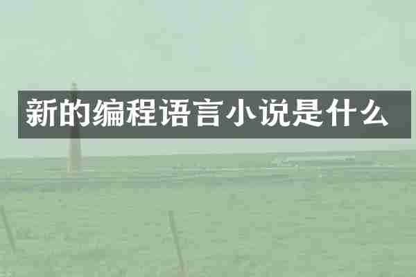 新的编程语言小说是什么