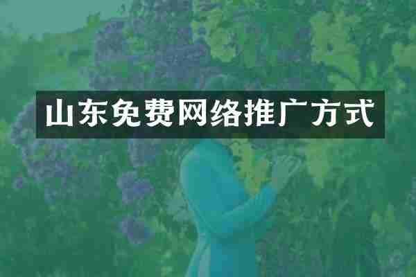 山东免费网络推广方式