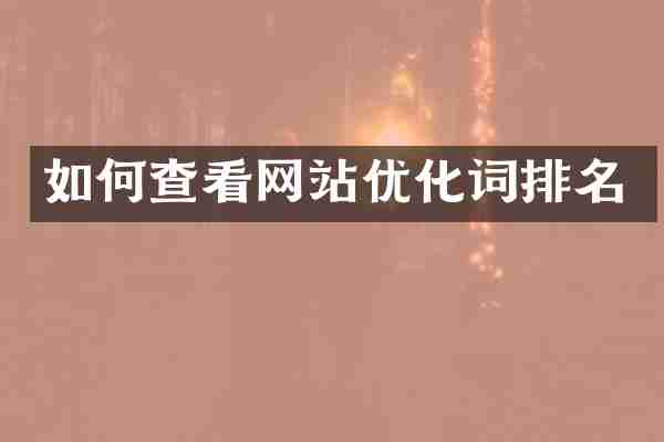 如何查看网站优化词排名