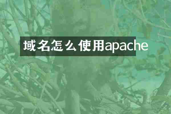 域名怎么使用apache