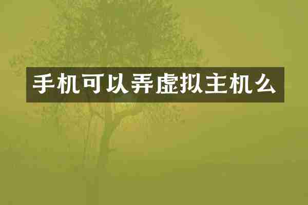 手机可以弄虚拟主机么