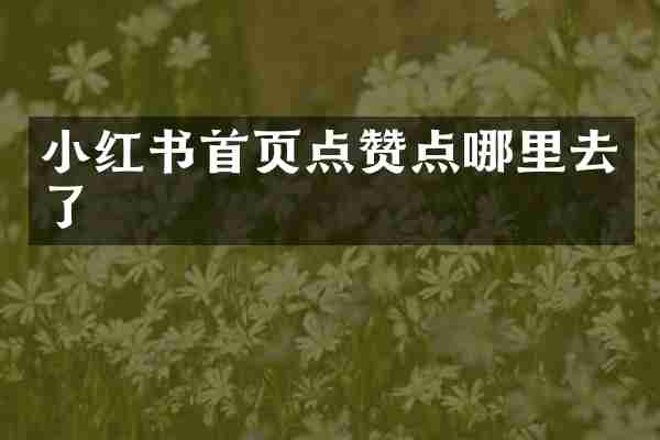 小红书首页点赞点哪里去了