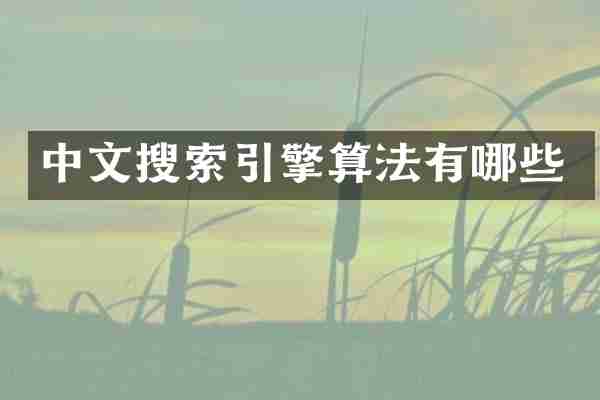 中文搜索引擎算法有哪些