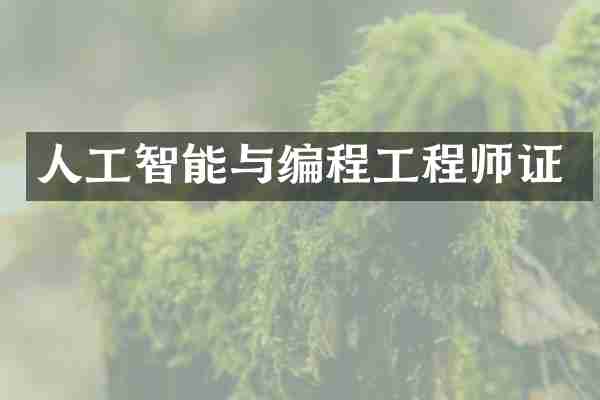 人工智能与编程工程师证