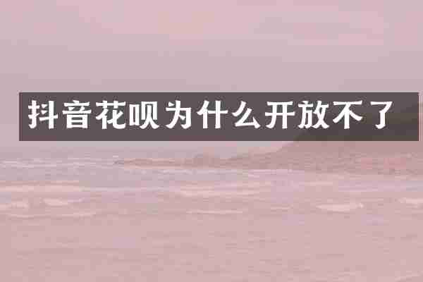 抖音花呗为什么开放不了