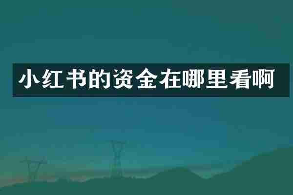 小红书的资金在哪里看啊