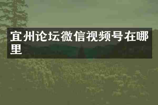 宜州论坛微信视频号在哪里
