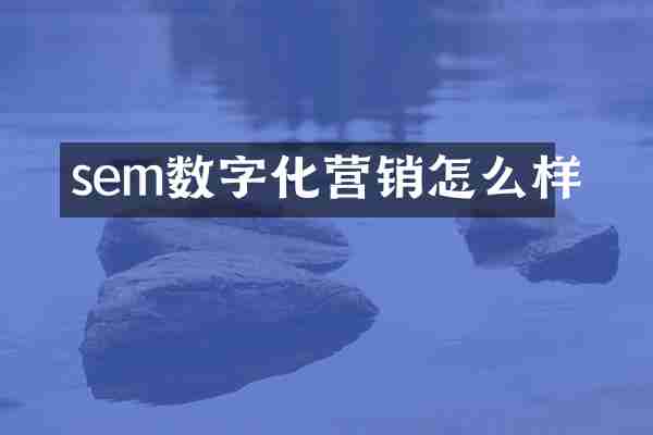 sem数字化营销怎么样