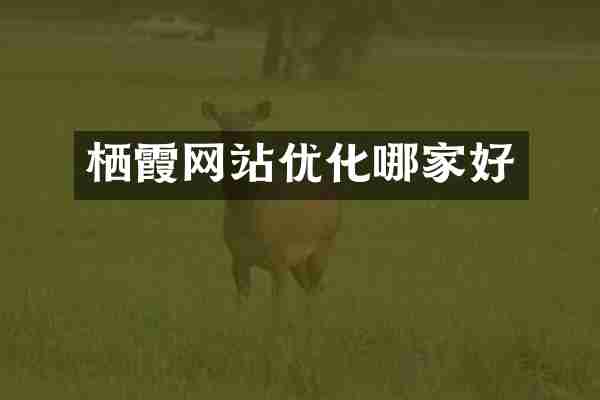 栖霞网站优化哪家好