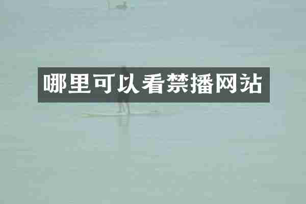 哪里可以看禁播网站