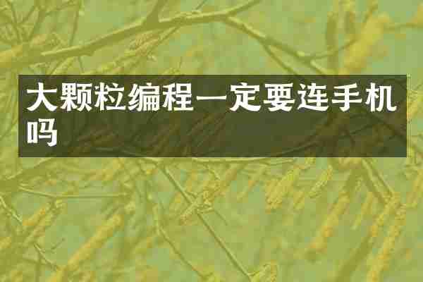 大颗粒编程一定要连手机吗