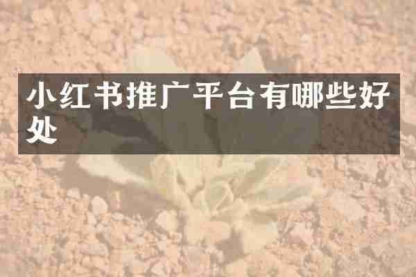 小红书推广平台有哪些好处