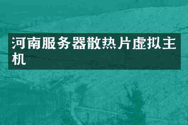 河南服务器散热片虚拟主机