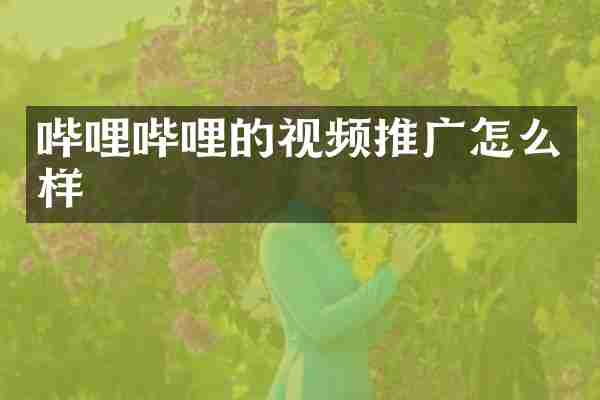哔哩哔哩的视频推广怎么样