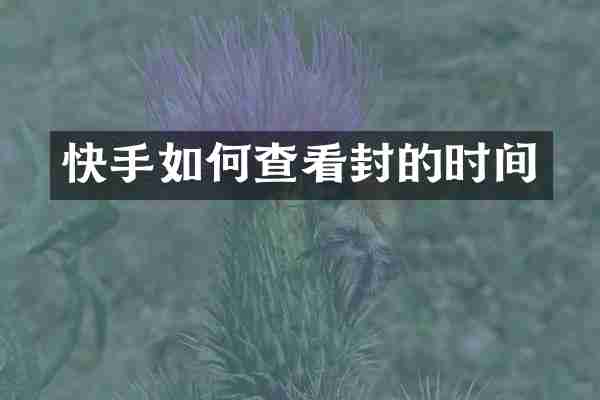 快手如何查看封的时间