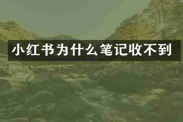 小红书为什么笔记收不到