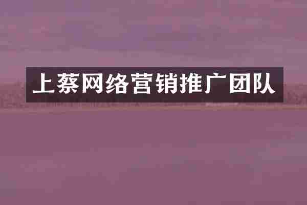 上蔡网络营销推广团队