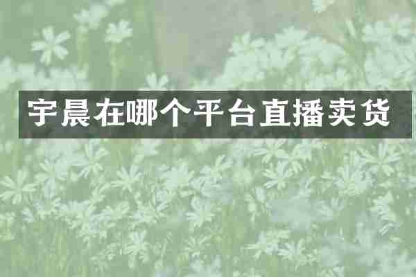 宇晨在哪个平台直播卖货