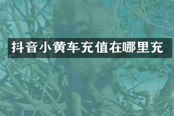 抖音小黄车充值在哪里充