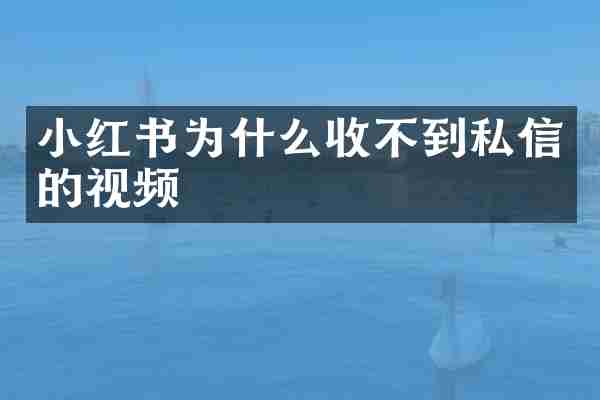 小红书为什么收不到私信的视频