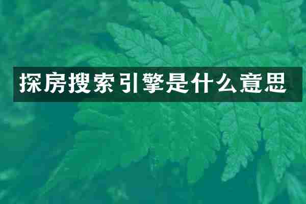 探房搜索引擎是什么意思