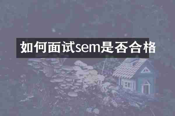 如何面试sem是否合格