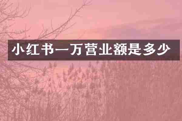 小红书一万营业额是多少